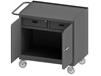 36/48" W MOBILE BENCH CABINETS